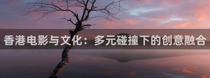 久久久午夜私人影院