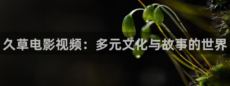 午夜片神马影院