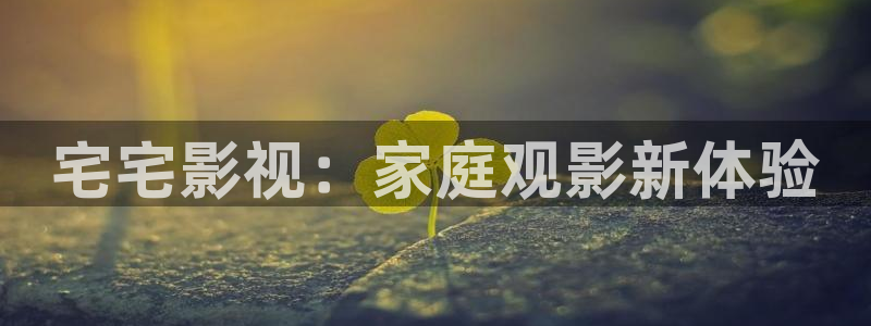 免费午夜影院在线观看