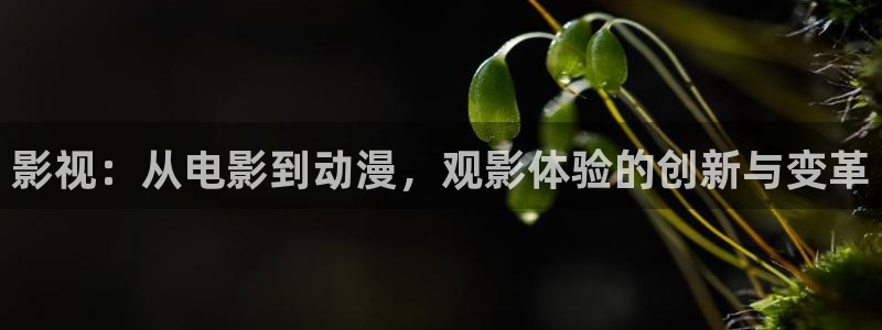 日本午夜免费影院