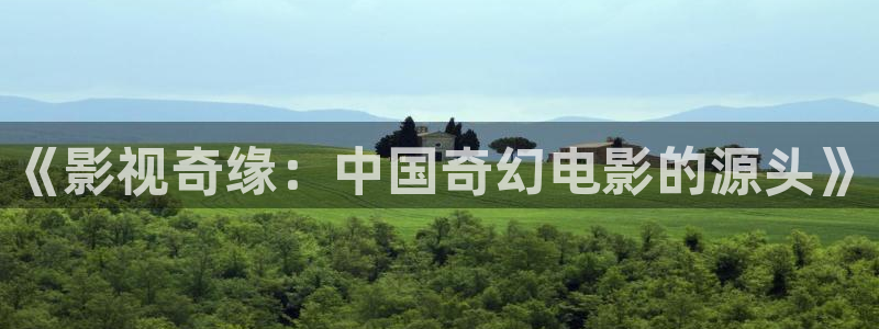 成年人午夜电影在线